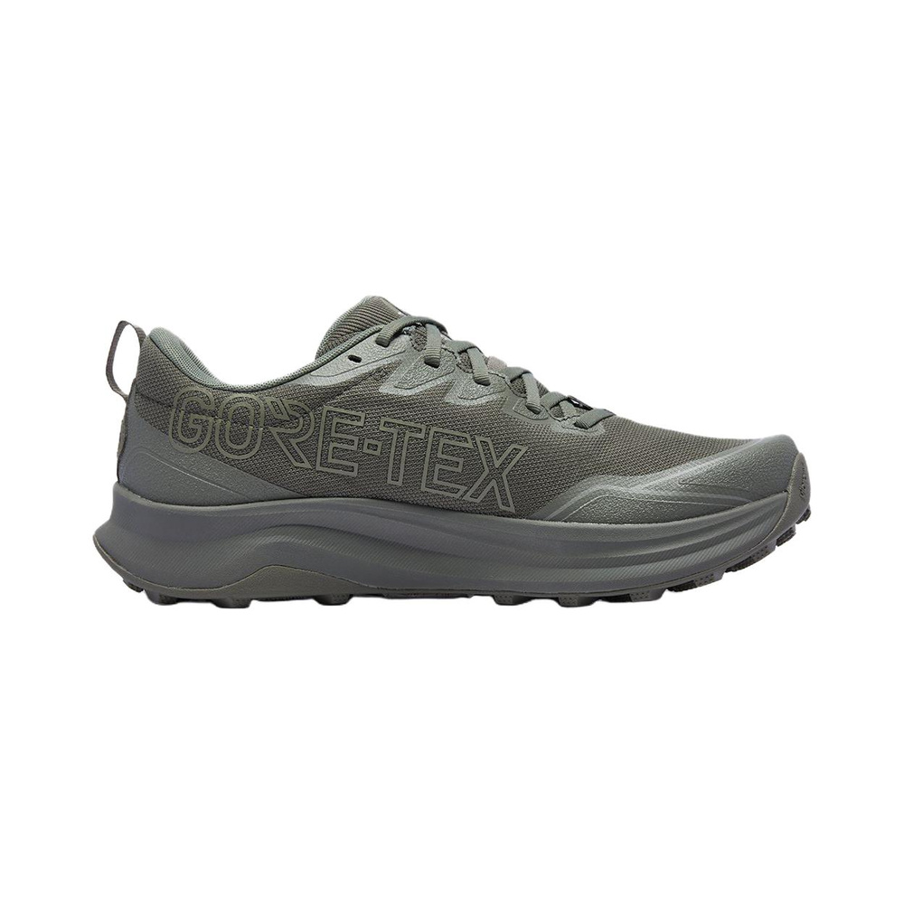 Saucony Peregrine 16 GTX 'Laurel / Sage' Мужские
