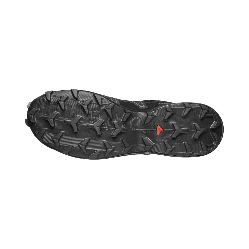 Salomon Speedcross 6 'Black Silver' Мужские