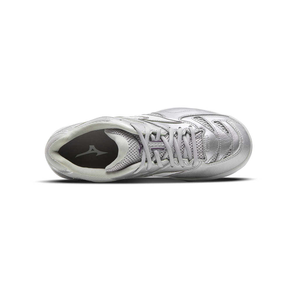 Mizuno Wave Fang Pro 'Silver / Black' Мужские