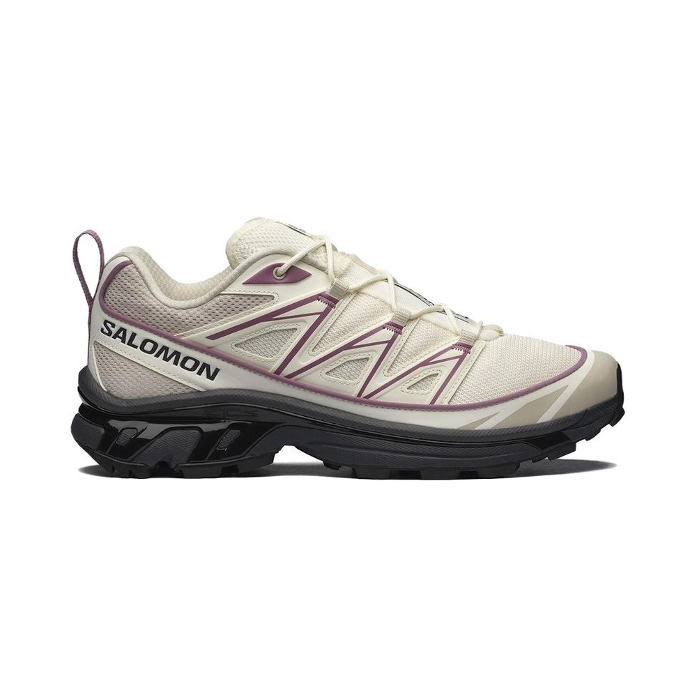 Salomon XT 6 'Expanse Vanilla Ice Dusky Orchid' Мужские