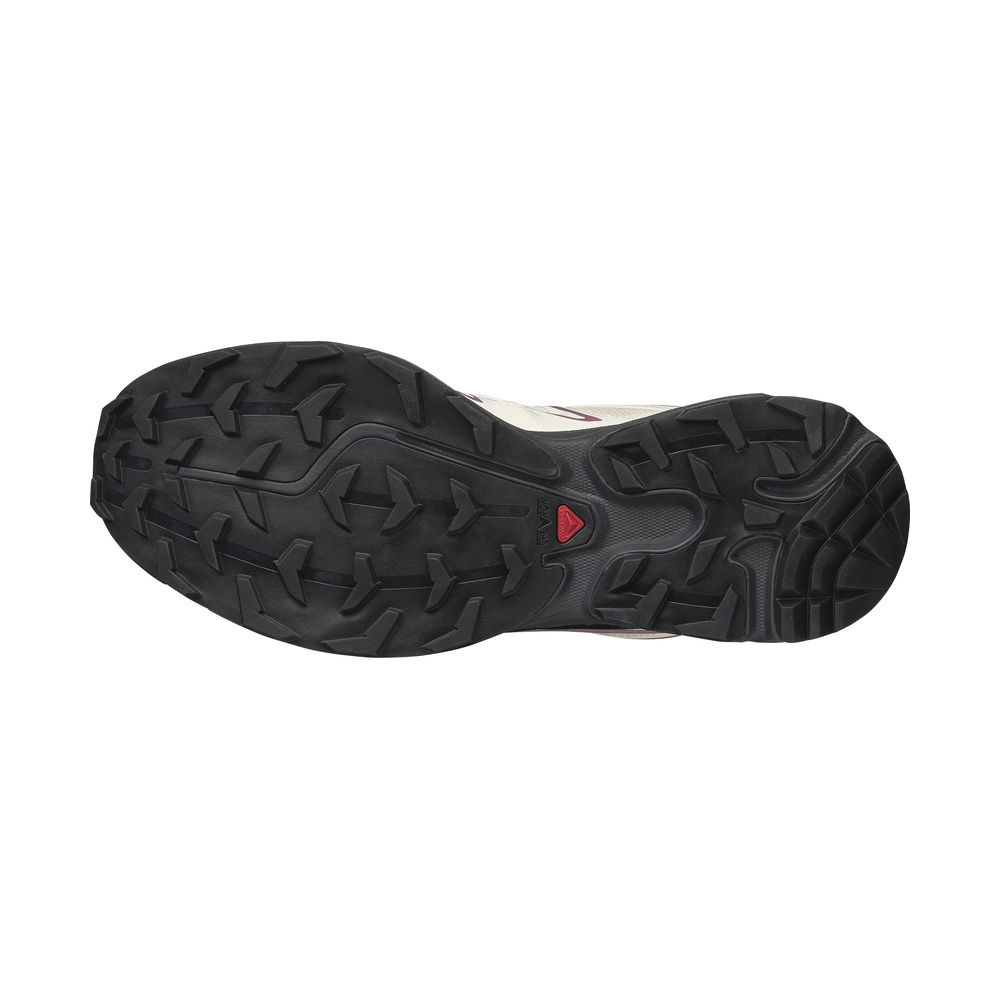 Salomon XT 6 'Expanse Vanilla Ice Dusky Orchid' Мужские