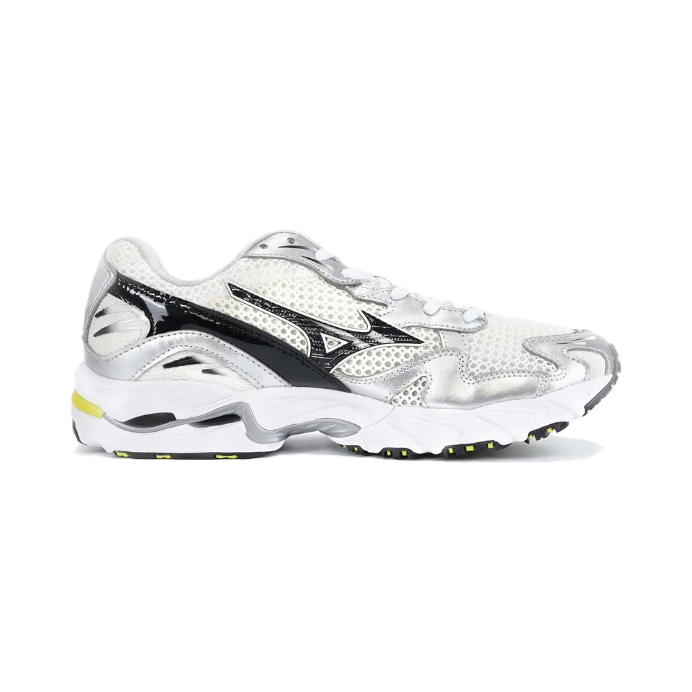 Mizuno Wave Rider 10 'Multicolor' Мужские