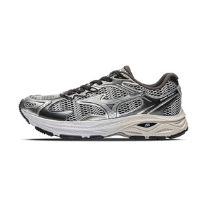 Silver / Black