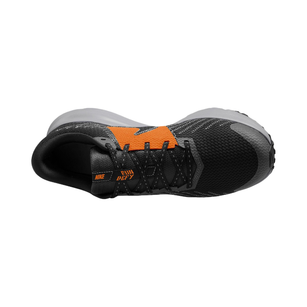 Nike Run Defy 'Medium Ash / Wolf Grey / Metallic Silver / Steam' Мужские
