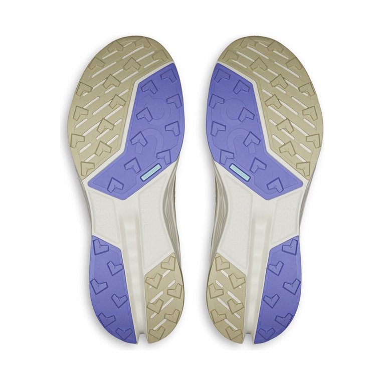 On Cloudsurfer Trail 2 Waterproof 'Ghost Chalk' Мужские