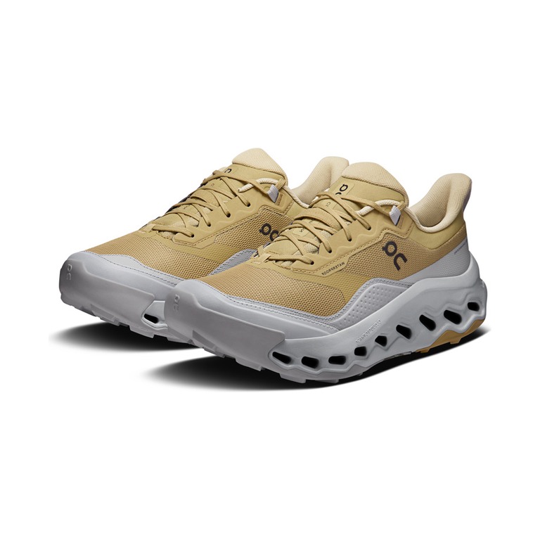 On Cloudhorizon 2 Waterproof 'Safari Glacier' Женские