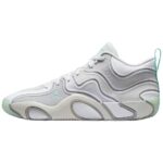 Platinum Tint / Light Smoke Grey / Grey Fog / White