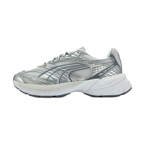 Grey Silver