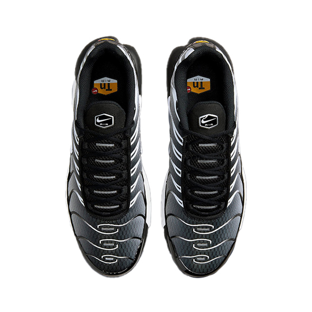 Nike Air Max Plus 'Obsidian / Lime Blast / Polar / Pink Foam' Мужские