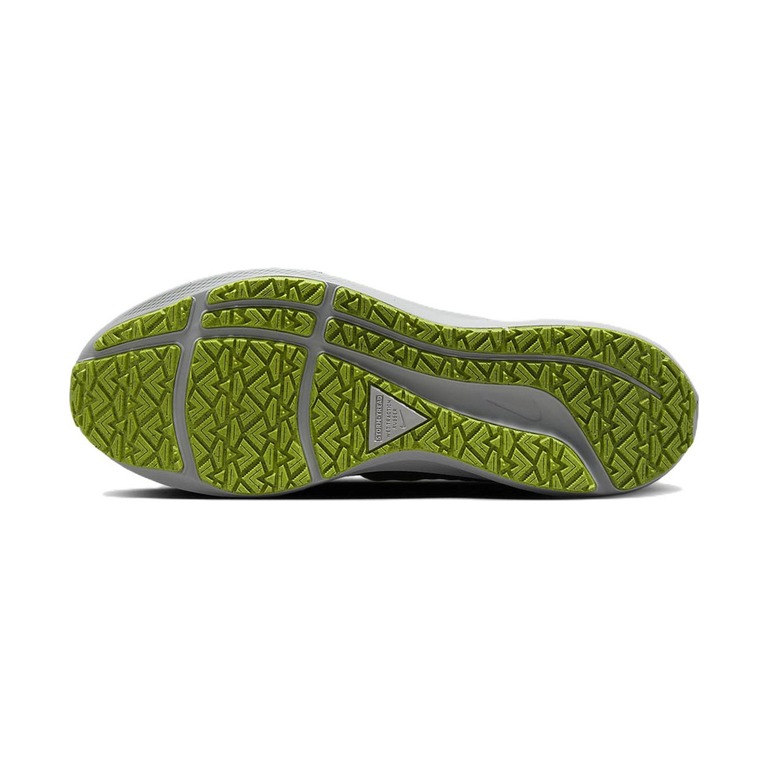 Nike Air Zoom Pegasus 39 'Shield' Мужские