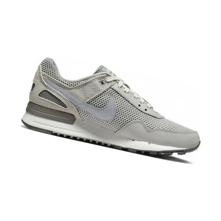 Nike Pegasus Premium 'Light Iron Ore' Мужские