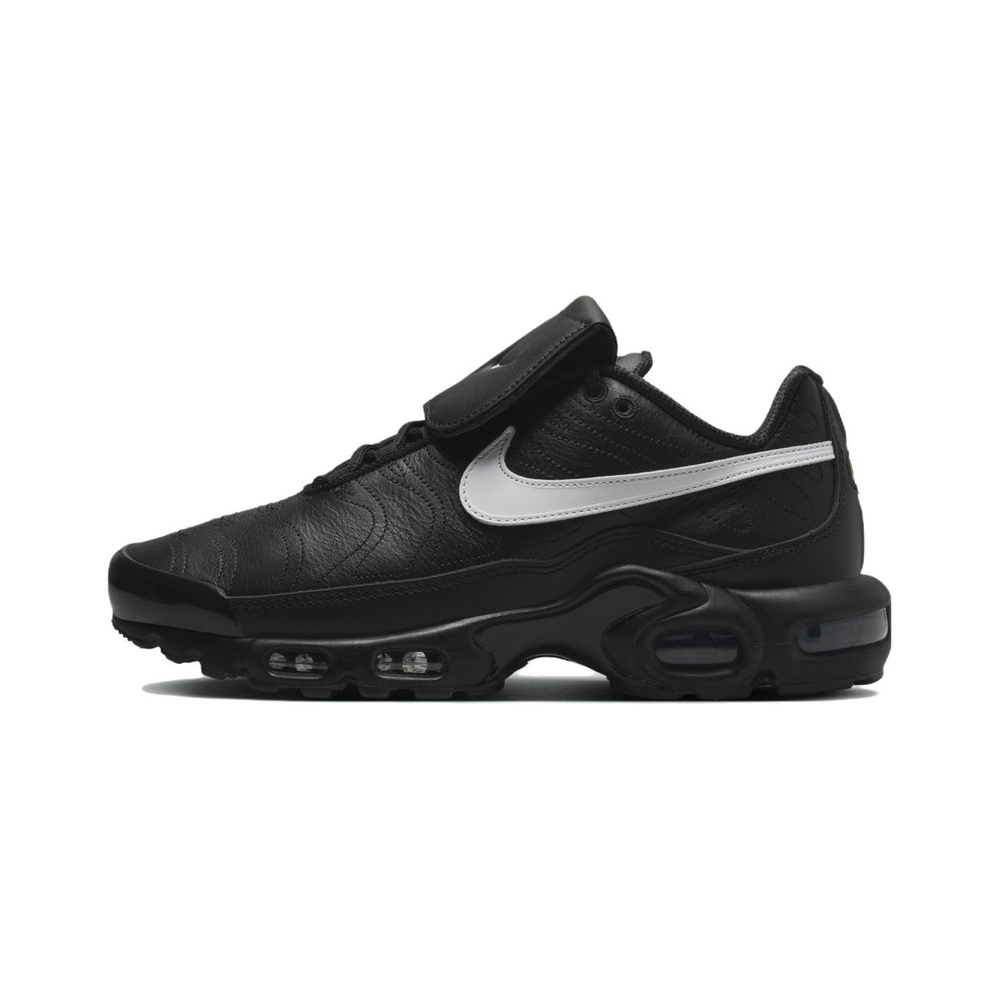 Nike Air Max Plus 'Platinum Tint / White / Metallic Silver / Platinum Tint' Женские