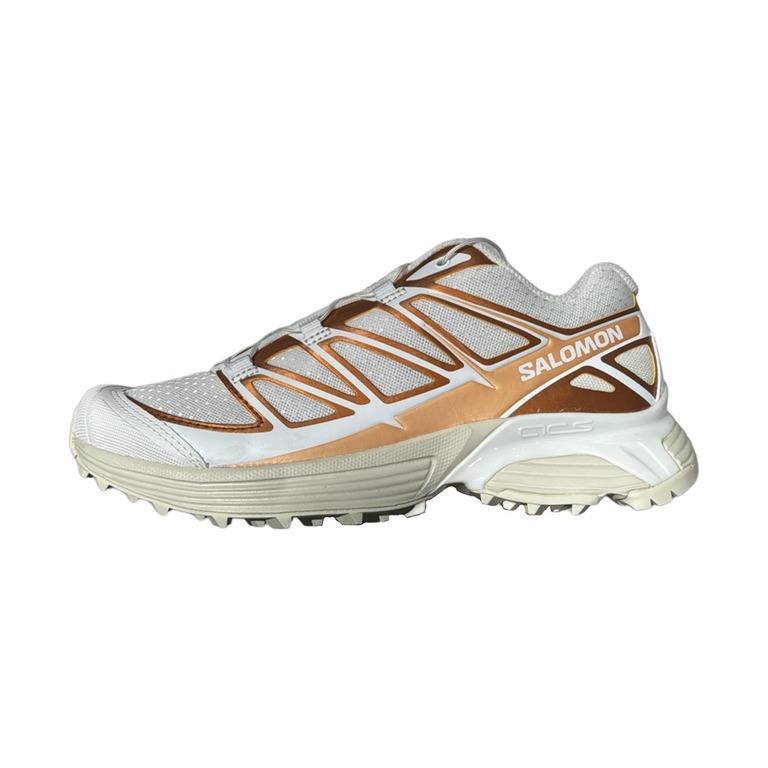Salomon XT Pathway 'Gold' Мужские