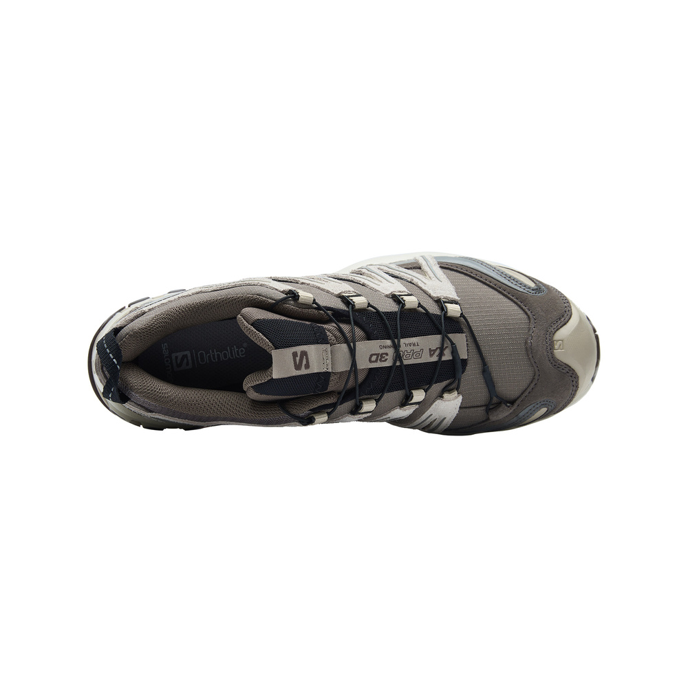 Salomon Xa Pro 3d 'Taupe' Мужские