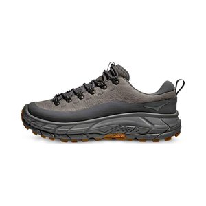 Asteroid Satelite Grey