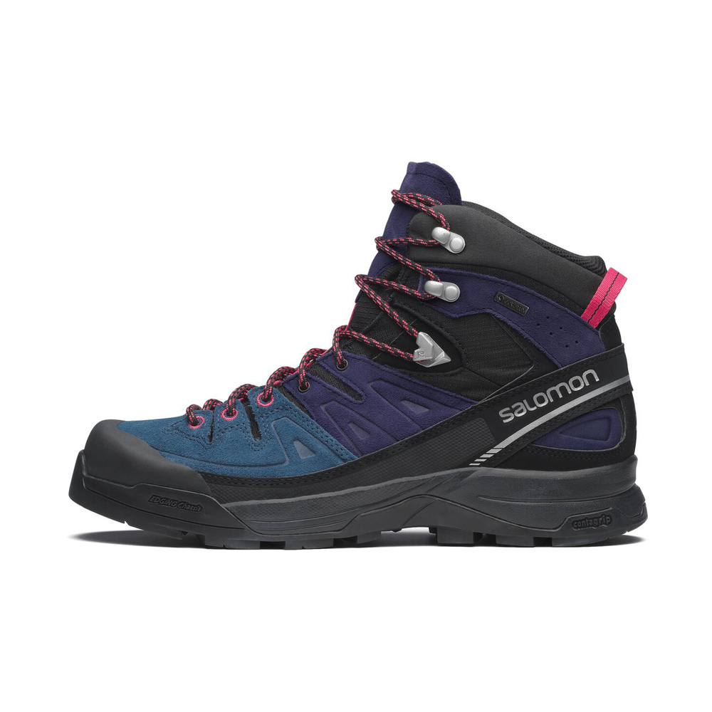 Purple / Blue
