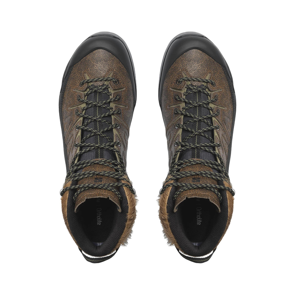 Salomon X Alp 'Brown / Green' Мужские