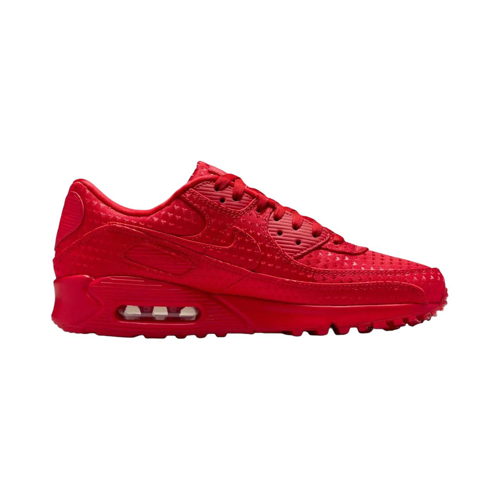 Nike Air Max 90 'Metallic Silver / Wolf Grey / Anthracite / Summit White' Мужские