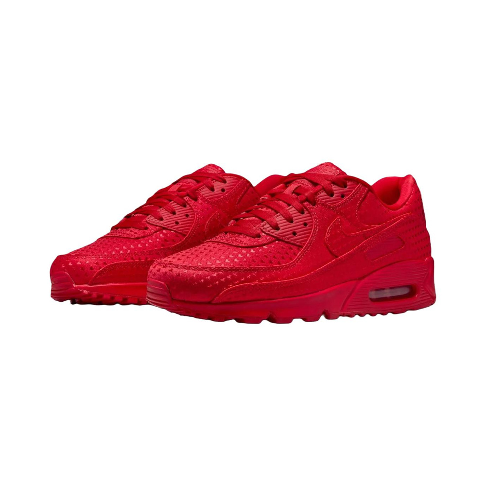Nike Air Max 90 'Metallic Silver / Wolf Grey / Anthracite / Summit White' Мужские