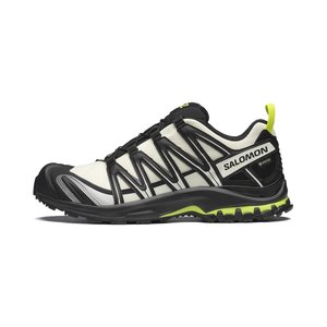Salomon Xa Pro 3d GTX