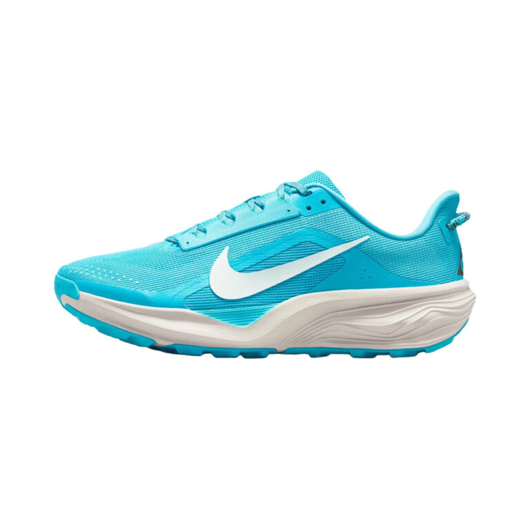 Nike ACG Pegasus 'Baltic Blue / Light Orewood Brown / Ironstone / Summit White' Мужские