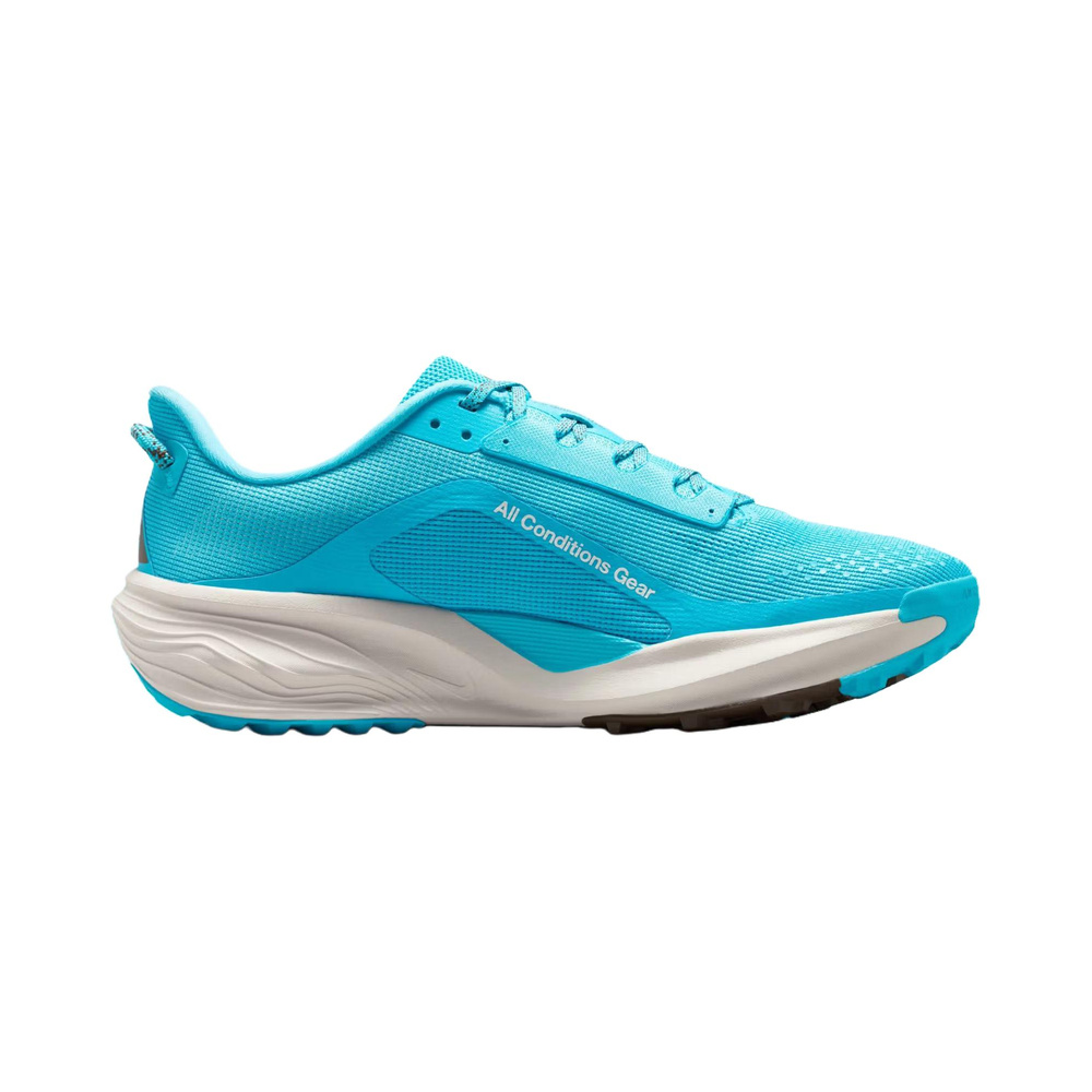 Nike ACG Pegasus 'Baltic Blue / Light Orewood Brown / Ironstone / Summit White' Мужские