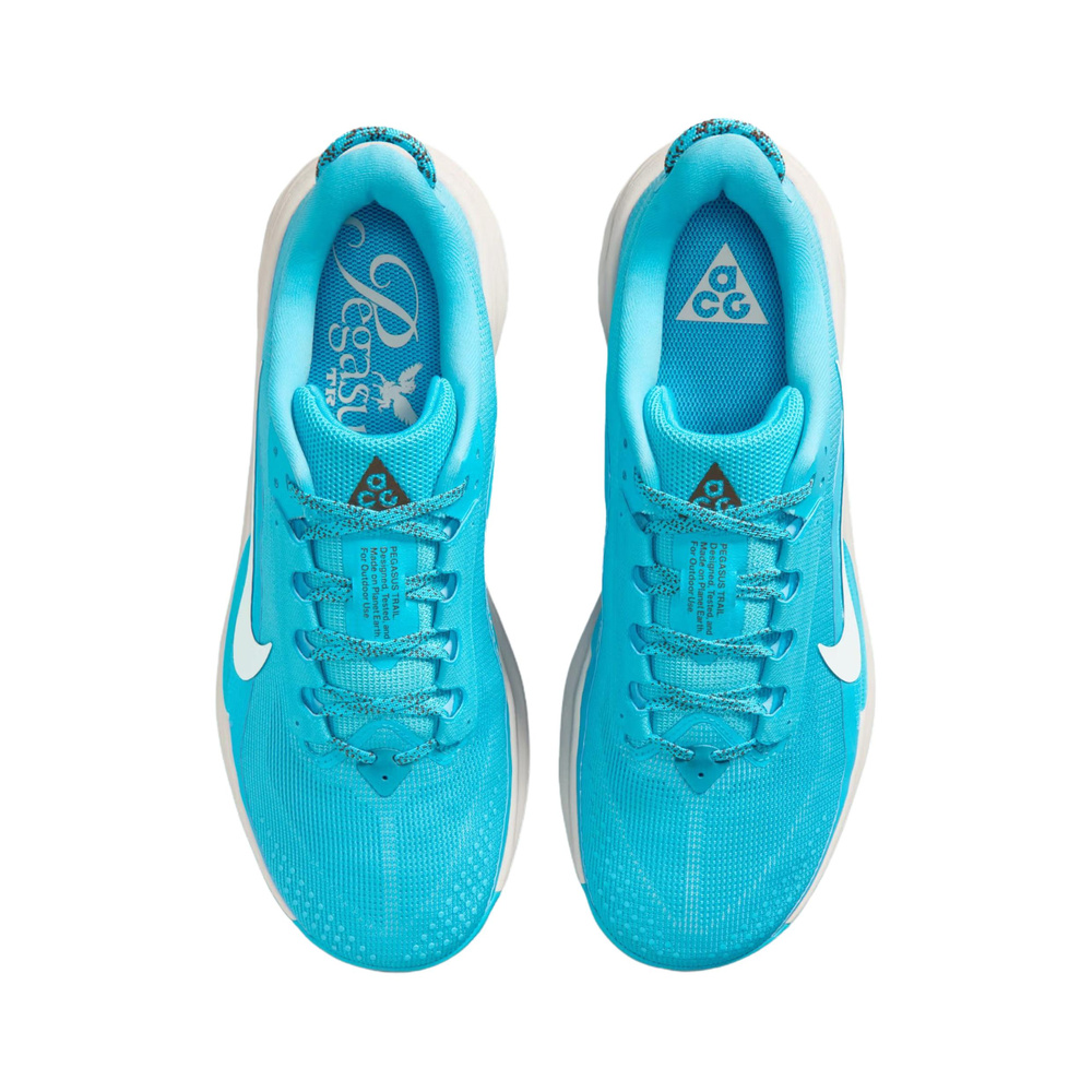 Nike ACG Pegasus 'Baltic Blue / Light Orewood Brown / Ironstone / Summit White' Мужские