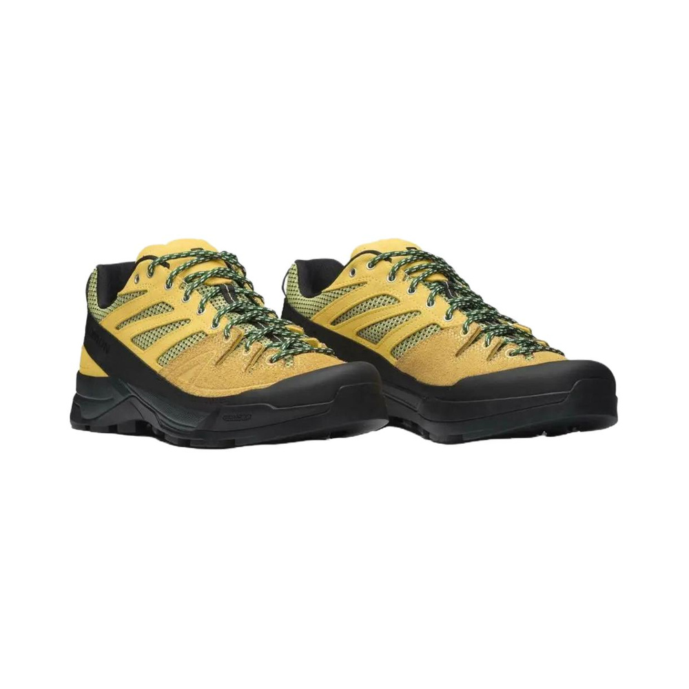 Salomon X Alp 'Yellow Black' Мужские