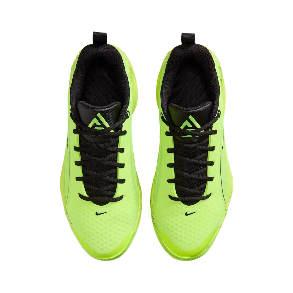 Nike Giannis Immortality 5 'Camo Green / Metallic Gold / Black / Pure Platinum' Мужские