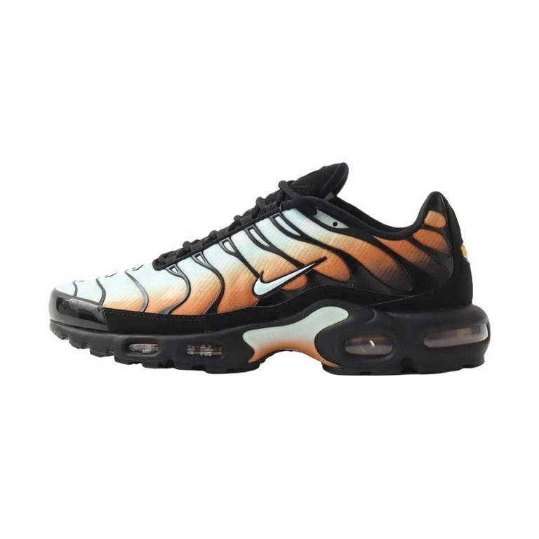 Nike Air Max Plus 'Multi-Color / Monarch / Black' Мужские