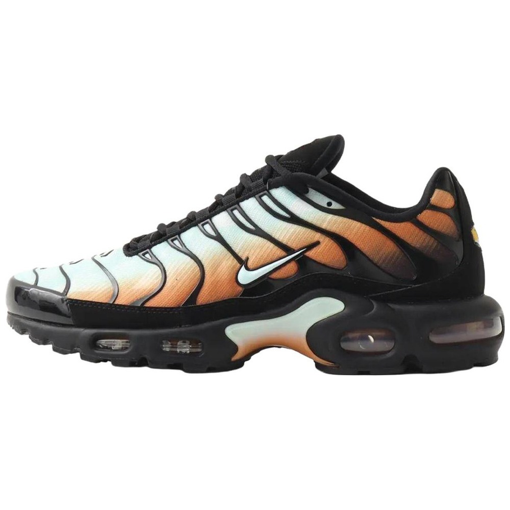 Multi-Color / Monarch / Black