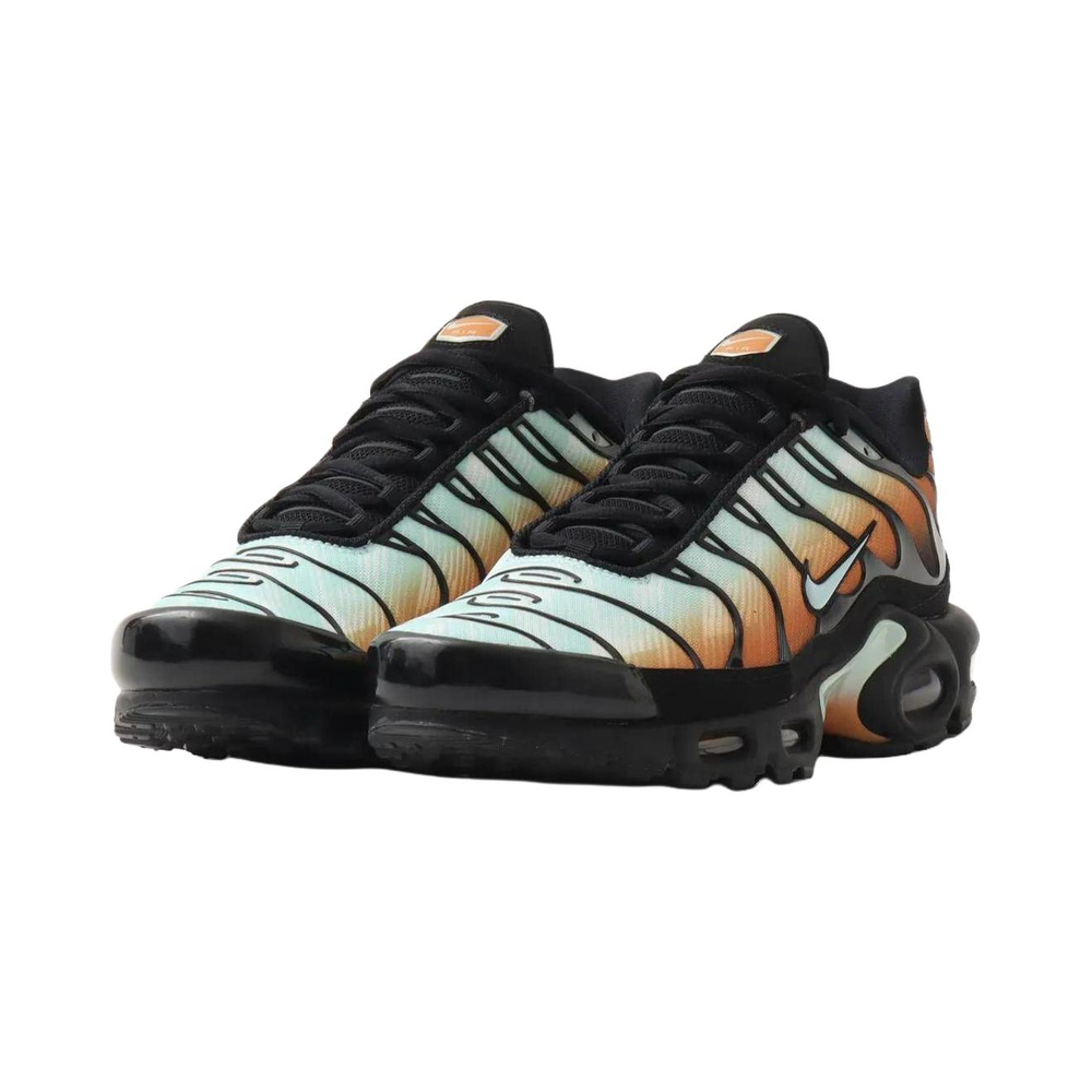 Nike Air Max Plus 'Multi-Color / Monarch / Black' Мужские