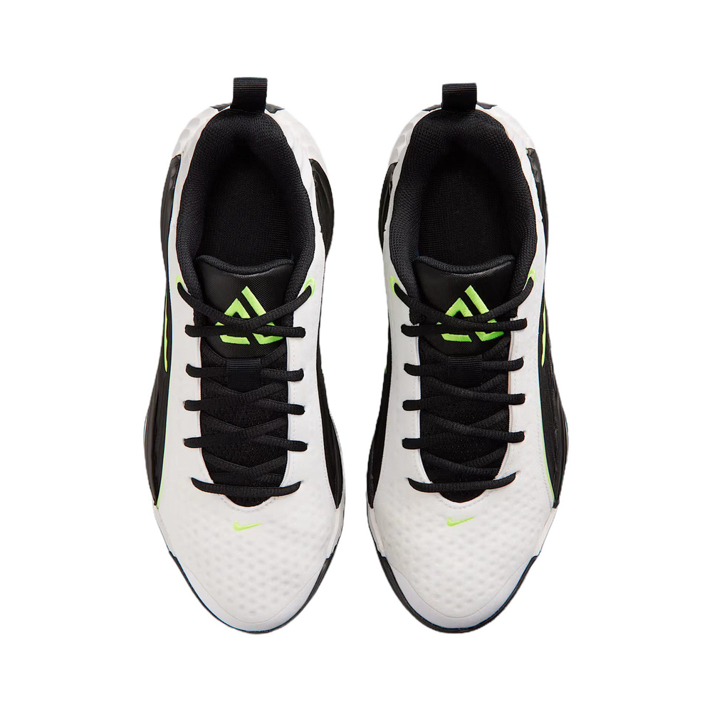 Nike Giannis Immortality 5 'White / Metallic Cool Grey / Cool Grey / Black' Мужские