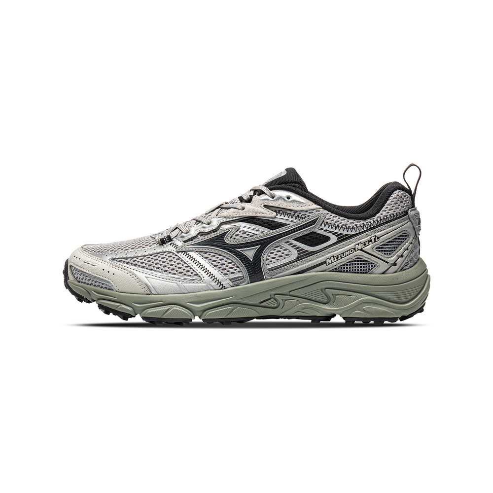 Grey / Silver