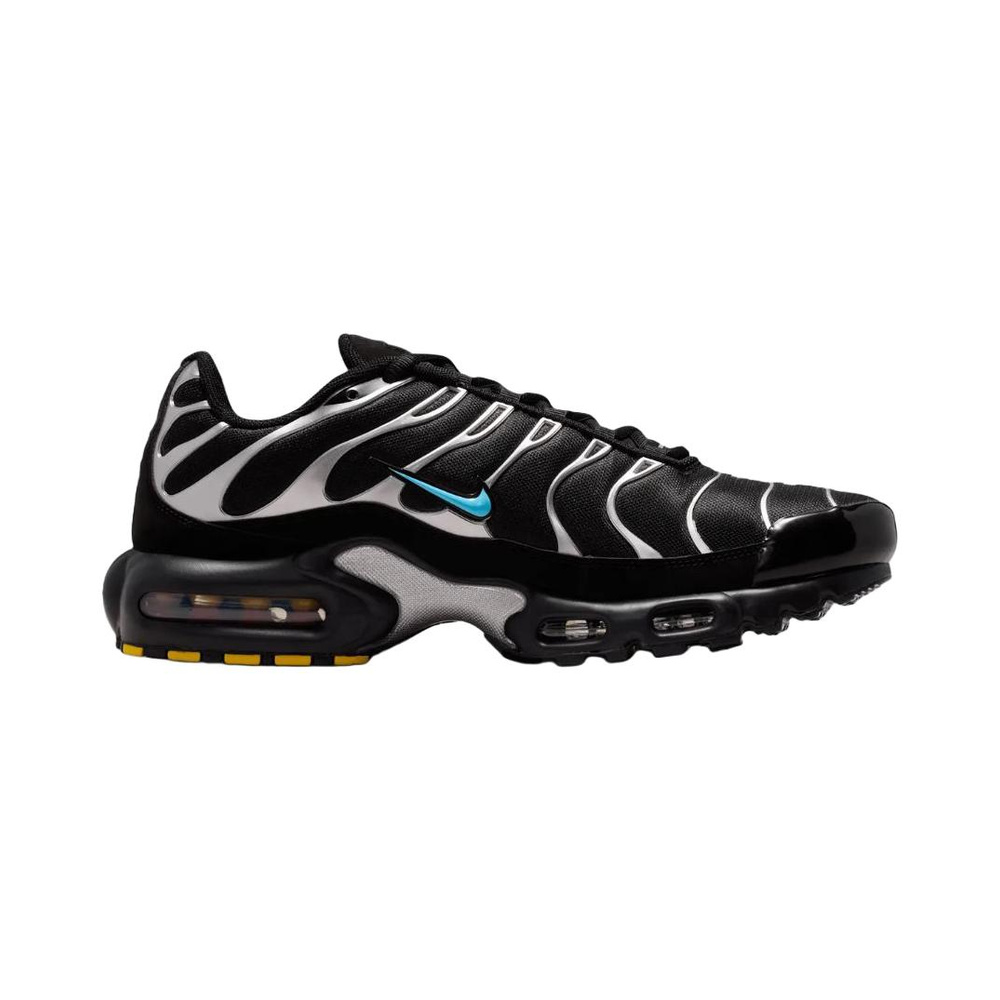 Nike Air Max Plus 'Black / Chrome / Gamma Blue' Мужские