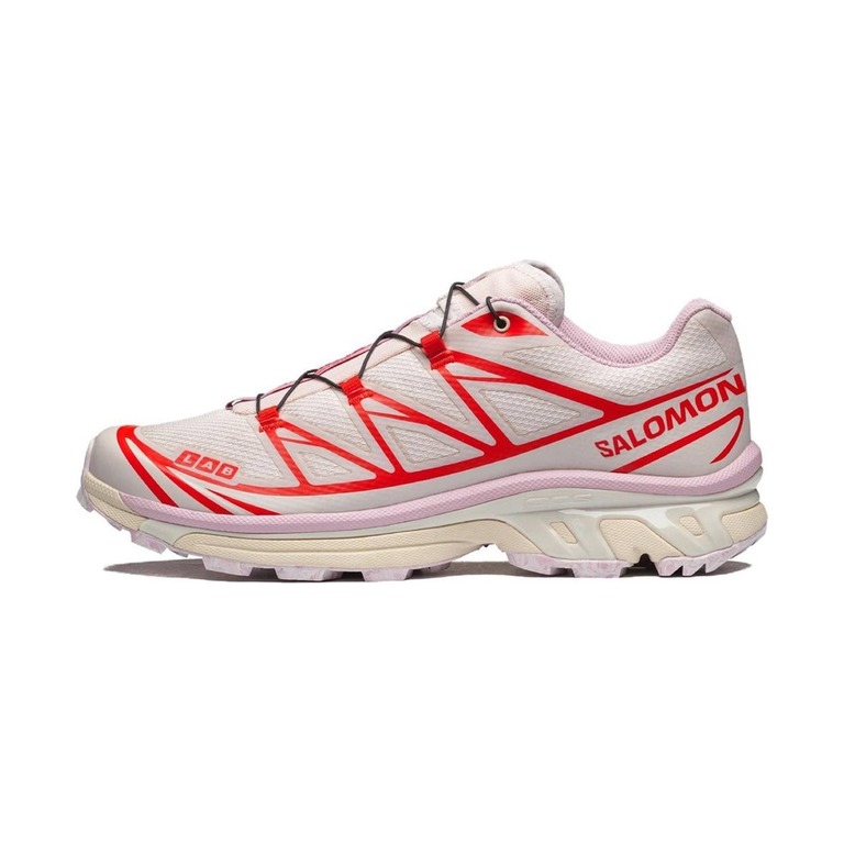 Salomon XT 6 'Beige Pink' Мужские