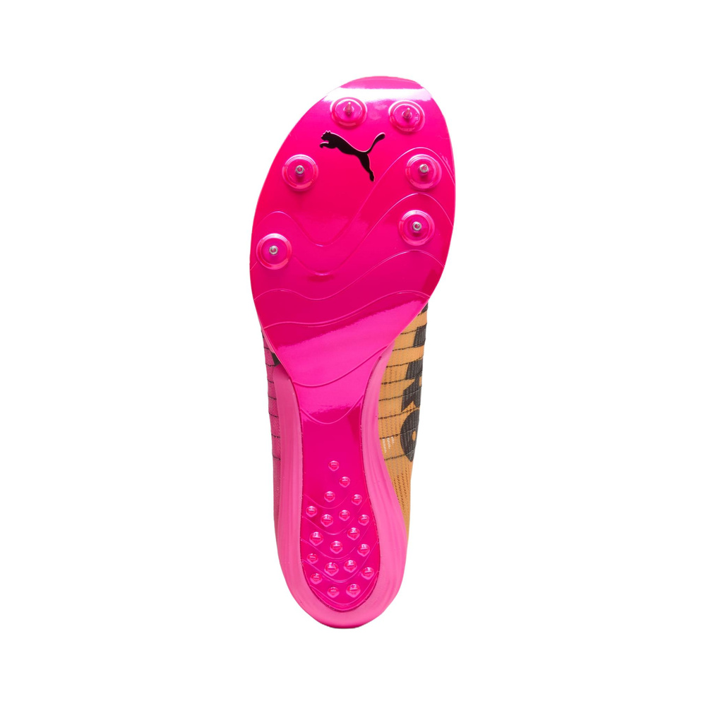 Puma Evospeed 'Pink Orange' Мужские