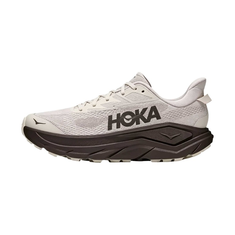 Hoka Challenger 8 'Multicolor' Мужские