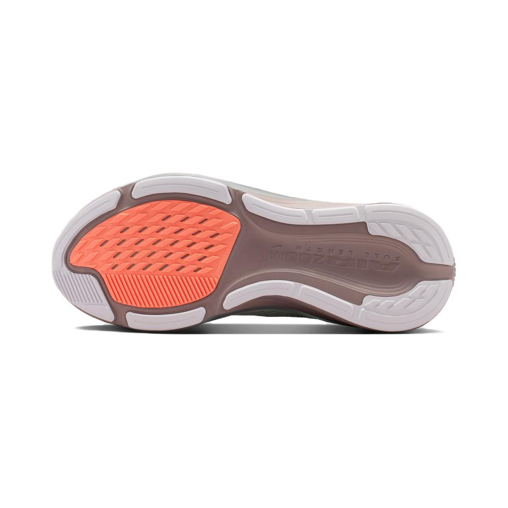 Nike Pegasus 42 'Haystack / Velvet Brown / Birch / Haystack' Женские