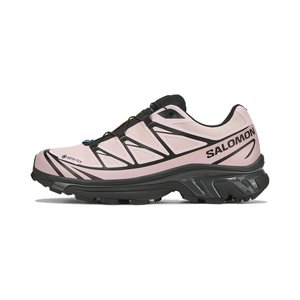 Salomon XT 6