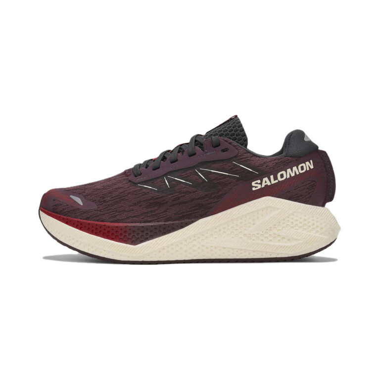 Salomon Aero Glide 4 'Multicolor' Женские