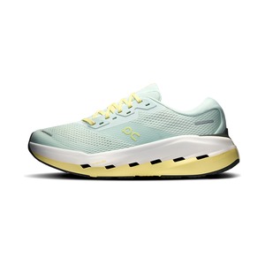 On Cloudrunner 3 Max LN1
