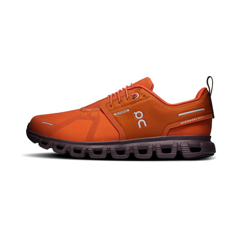 On Cloud 6 Waterproof 'Cinnamon Ox' Женские
