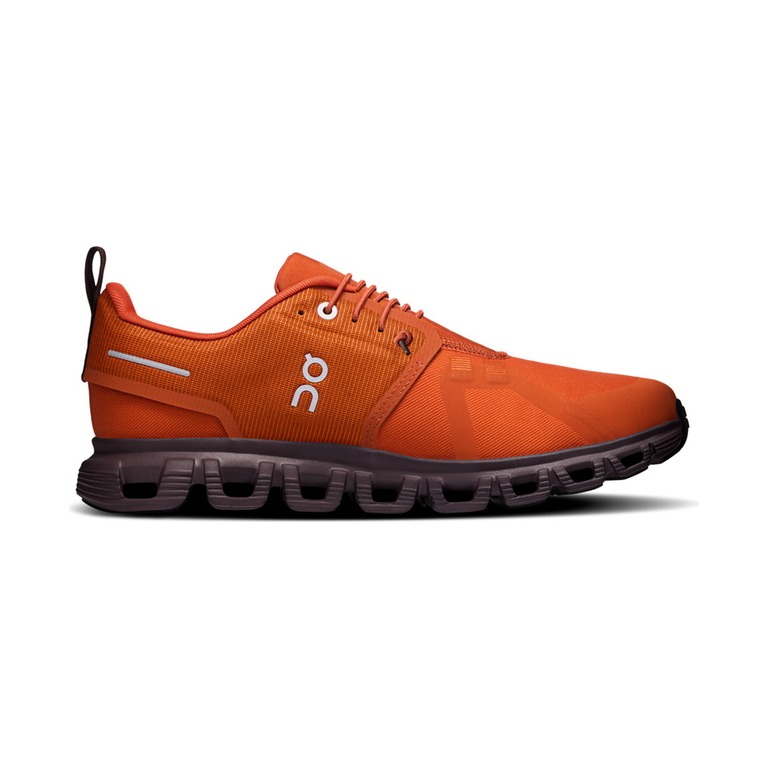 On Cloud 6 Waterproof 'Cinnamon Ox' Женские