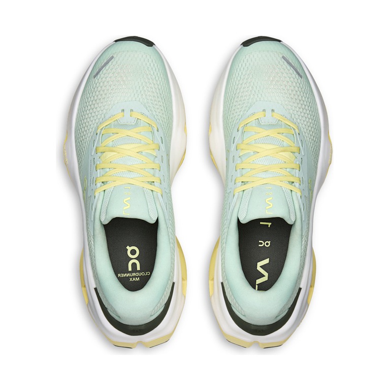 On Cloudrunner 3 Max LN1 'Fresco Gild' Женские