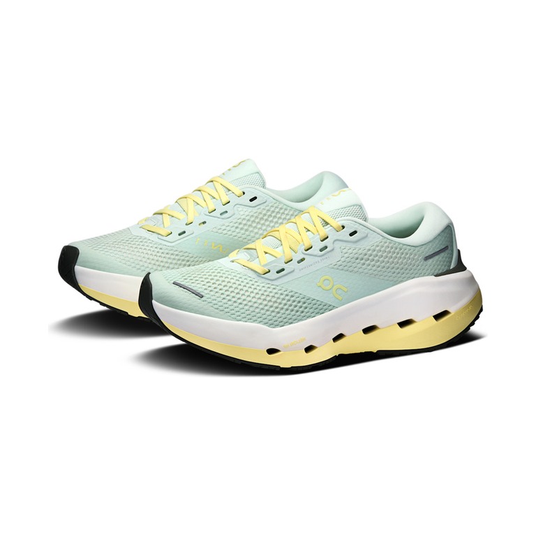 On Cloudrunner 3 Max LN1 'Fresco Gild' Женские