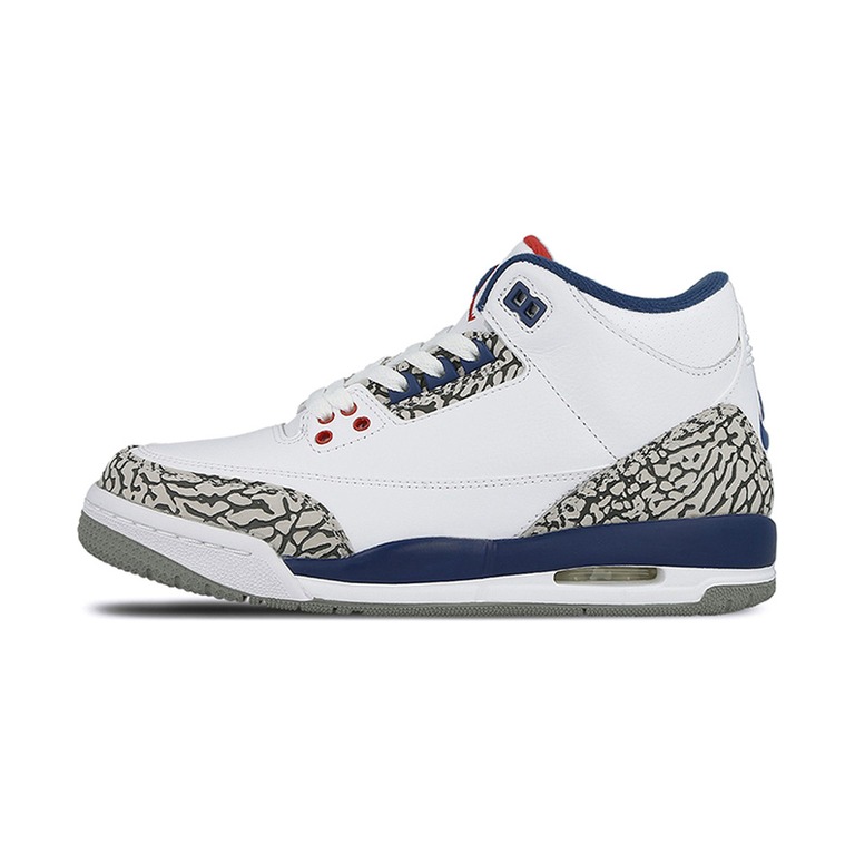 Air Jordan 3 'Summit White / Vast Grey / Cannon / White' Мужские