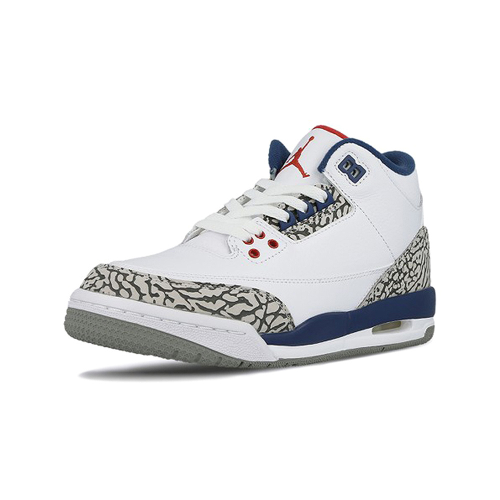 Air Jordan 3 'Summit White / Vast Grey / Cannon / White' Мужские