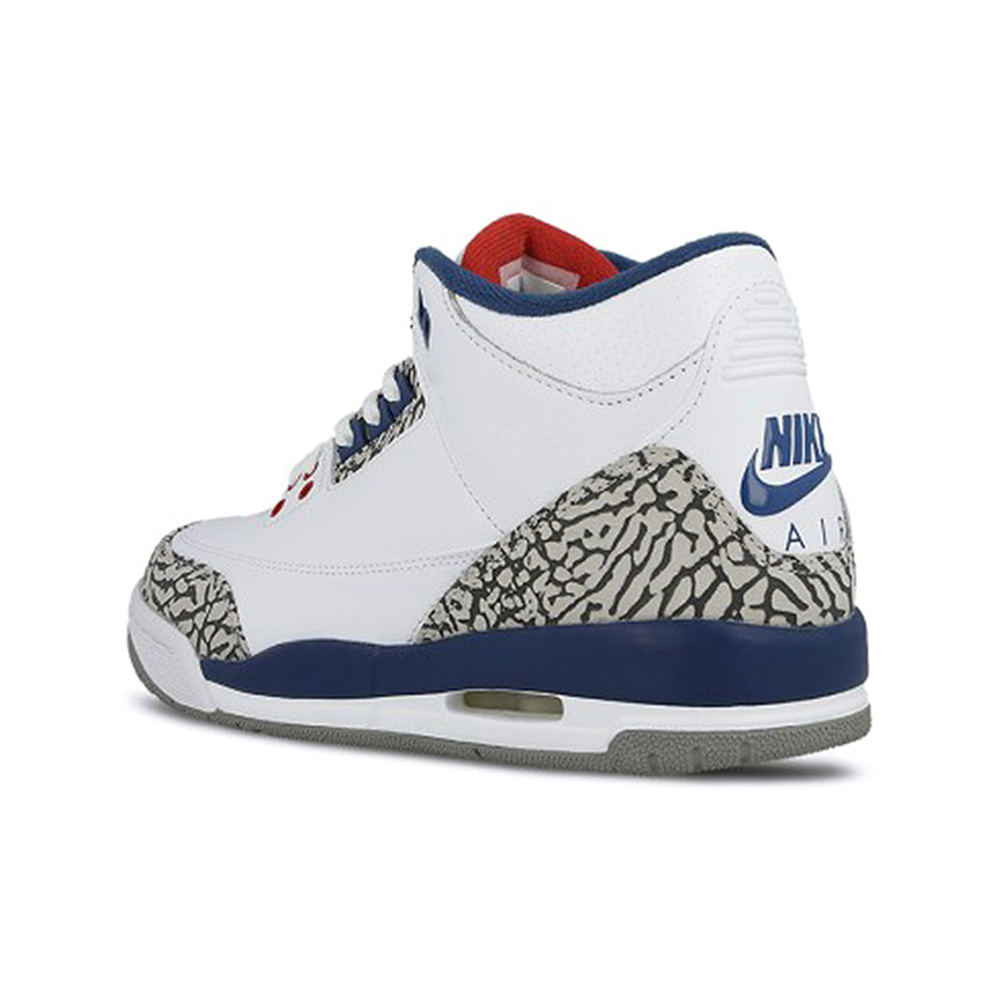 Air Jordan 3 'Summit White / Vast Grey / Cannon / White' Мужские