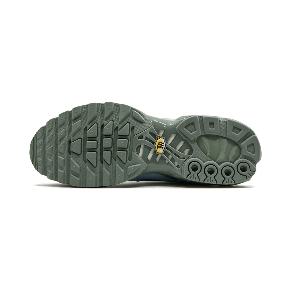Nike Air Max Plus 'Anthracite / Medium Ash / Metallic Silver / Anthracite' Мужские